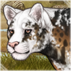 [Jaglion] Piebald: Dappled